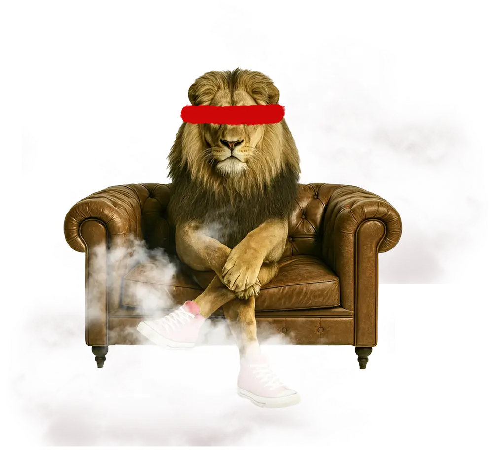 Bold Mesh Leadership