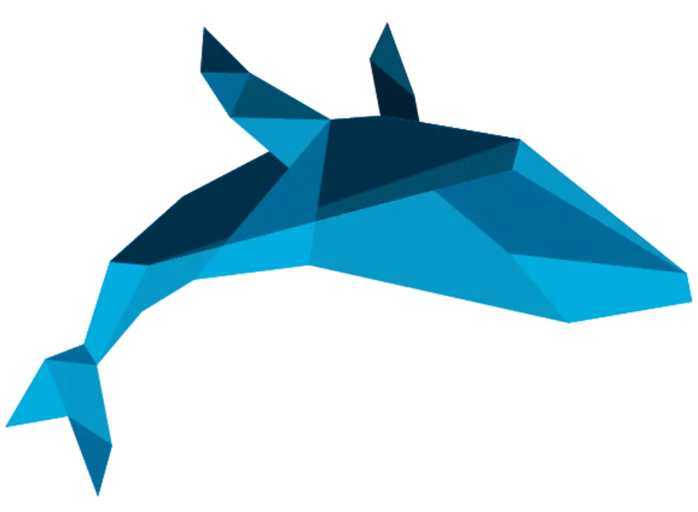 Bold Mesh Vision & Mission